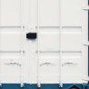 ABUS ConHasp Granit 215/100 Containerlock