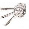 Keys for PowerLock PL-700 padlock
